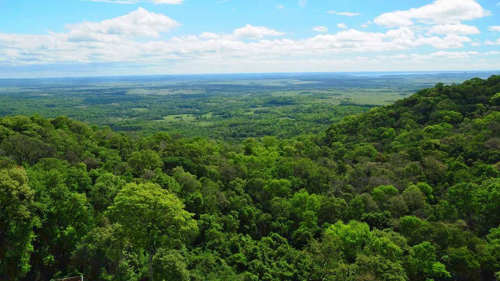 Posada Del Chaman Iguazu Puerto Iguazú Eksteriør bilde