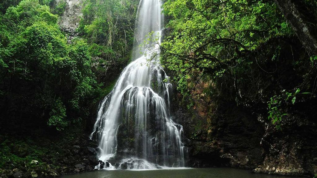 Posada Del Chaman Iguazu Puerto Iguazú Eksteriør bilde